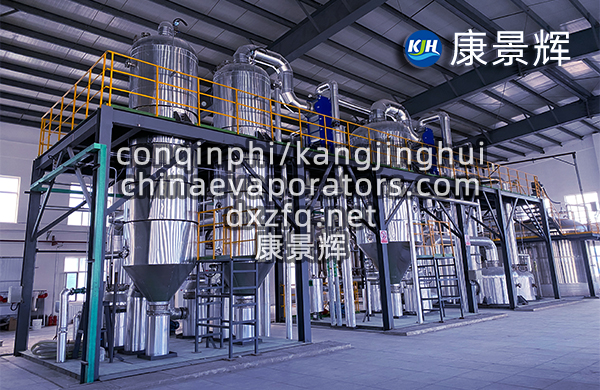 飛灰水洗脫鹽MVR蒸發結晶工藝